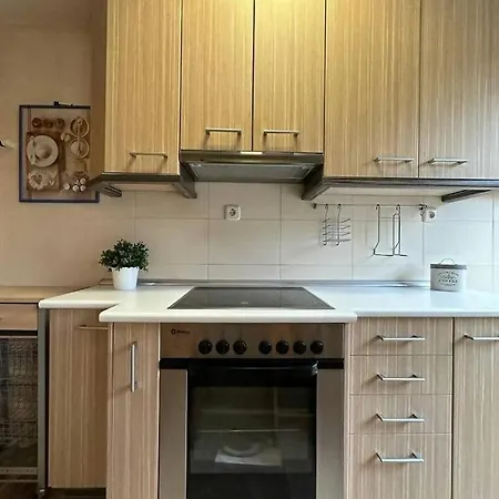 Apartment Gaudioso Garaje Y Trastero En Sallent